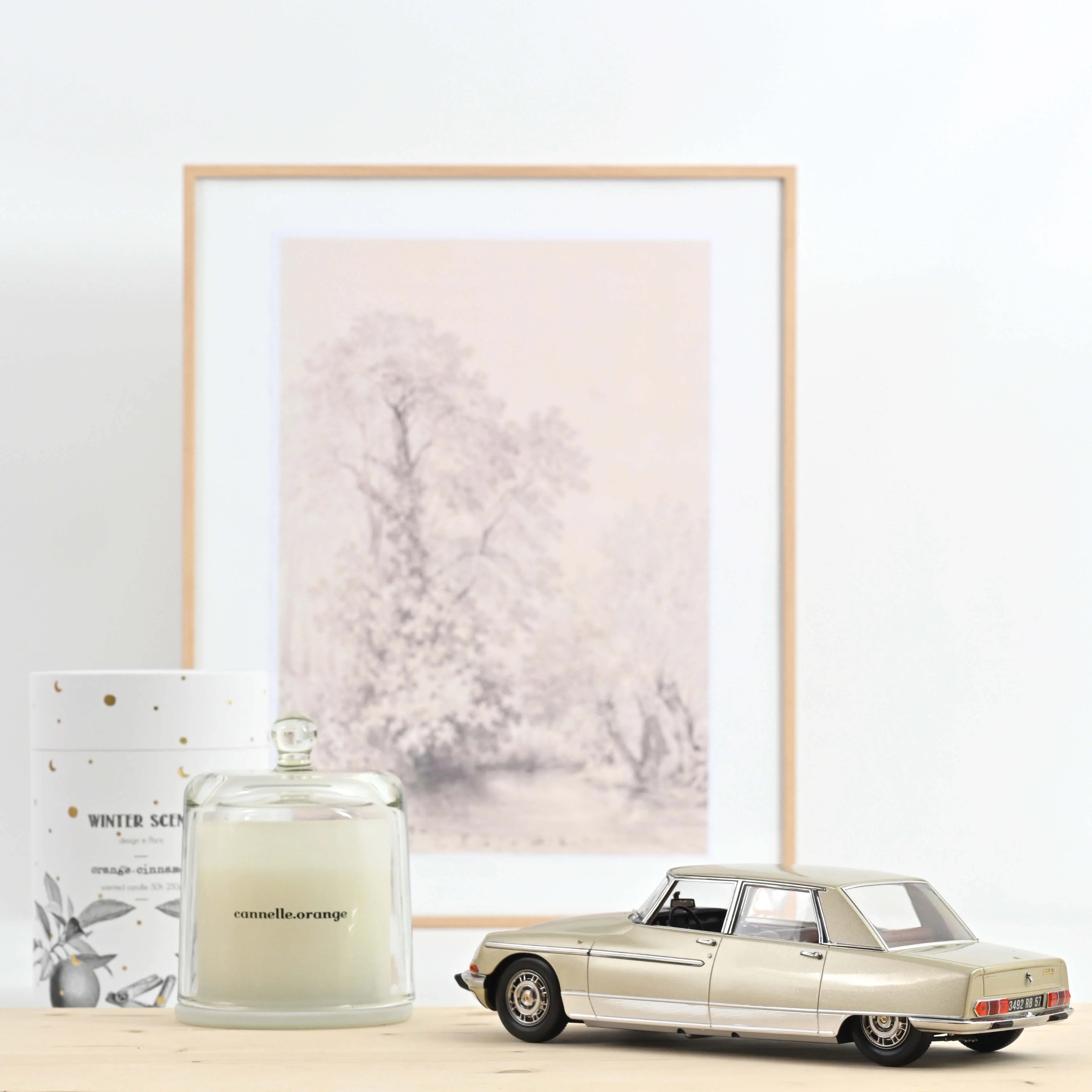Citroën DS 21 Lorraine 1969 Champagne 1:18