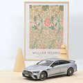 Mercedes-AMG GT 63 4MATIC 2021 Silver 1:18