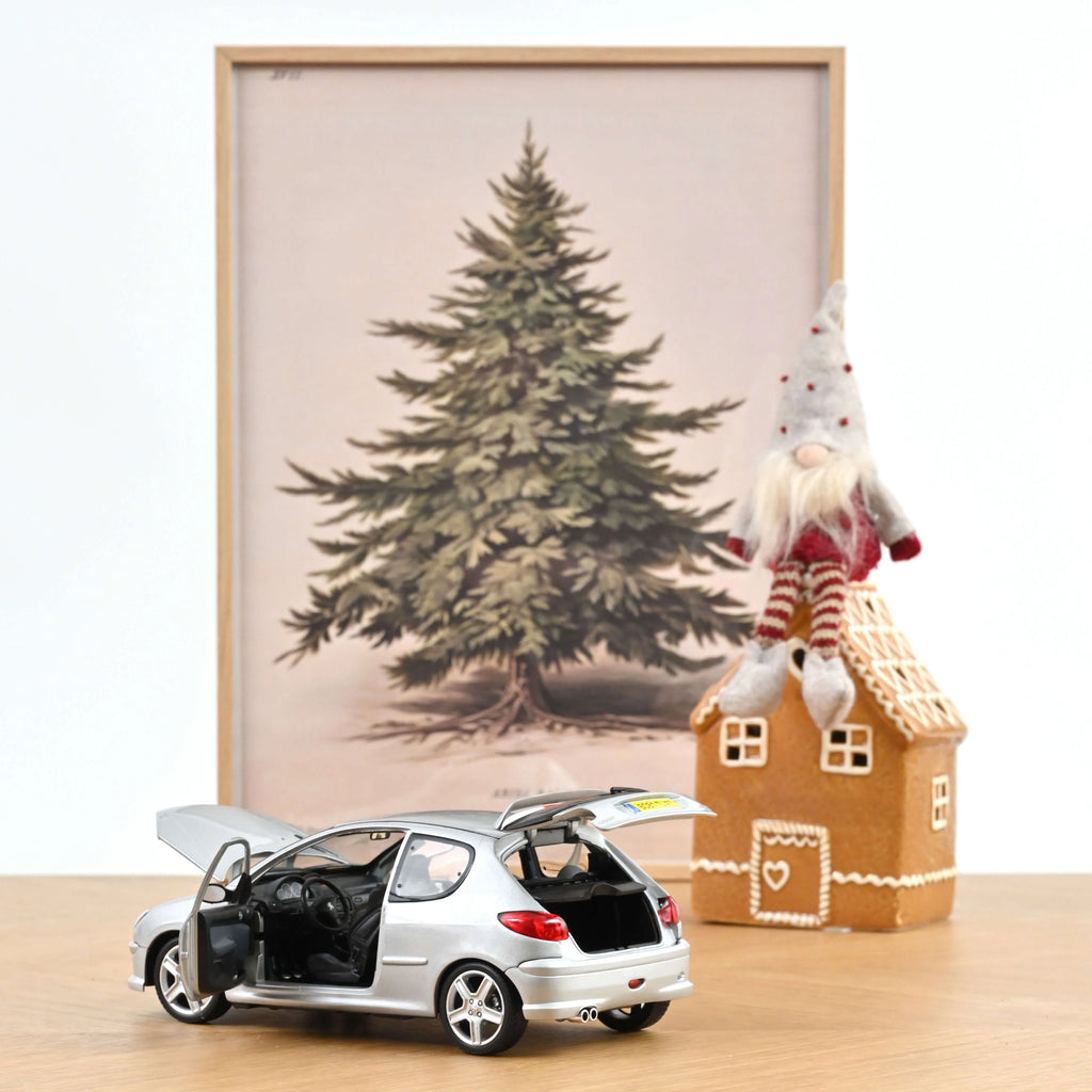 Peugeot 206 RC 2003 Aluminium Silver 1:18