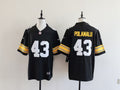 Men's Pittsburgh Steelers Troy Polamalu Nike Jersey -  Black -No team logo