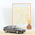 Citroën BX 19 GT 1984 Fox Grey NL version 1:18 - 300pcs
