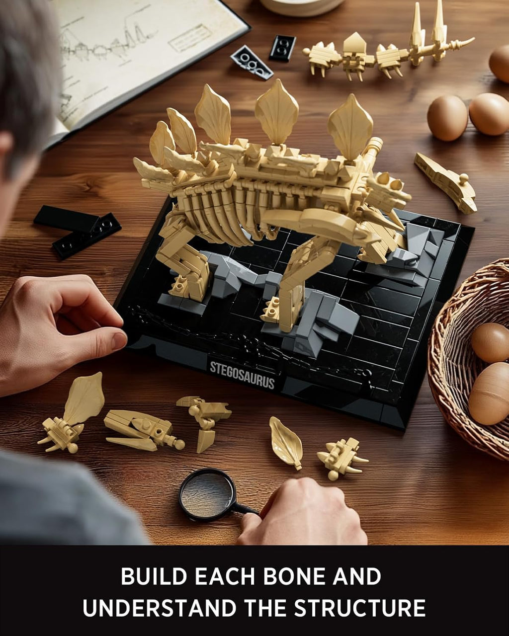 Nifeliz Stegosaurus Fossils (665 PCS, NF10353)