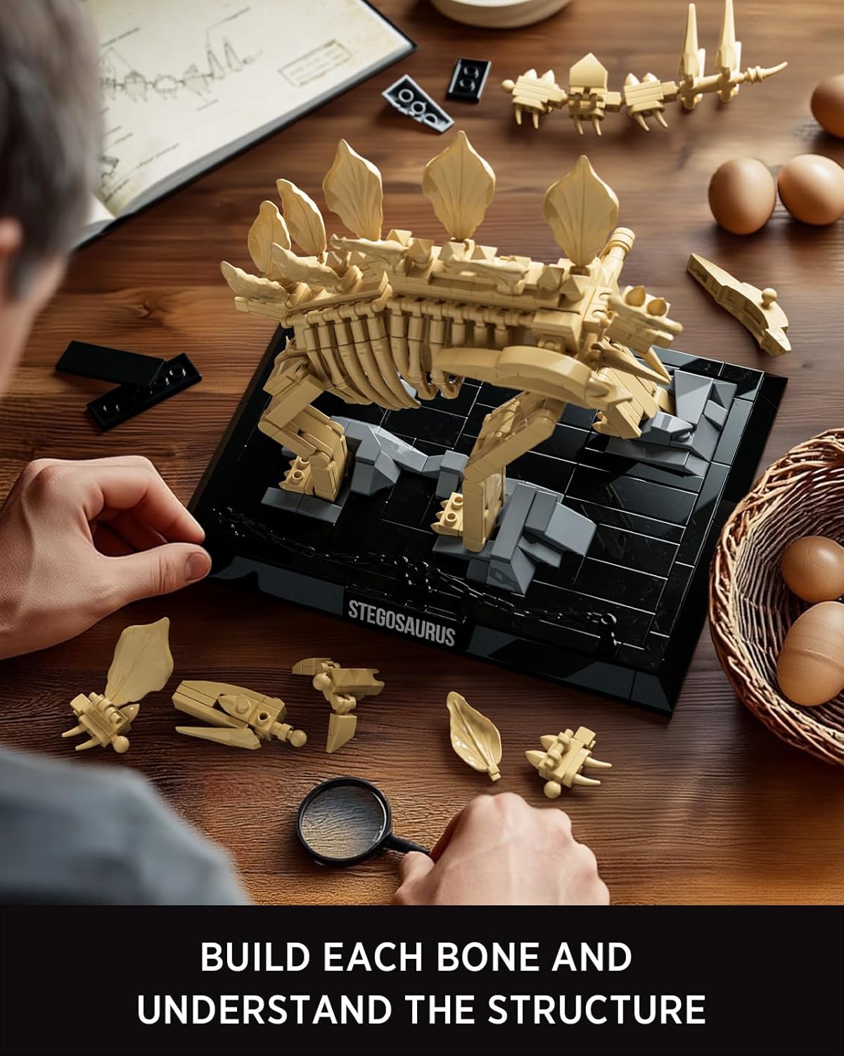 Nifeliz Stegosaurus Fossils (665 PCS, NF10353)
