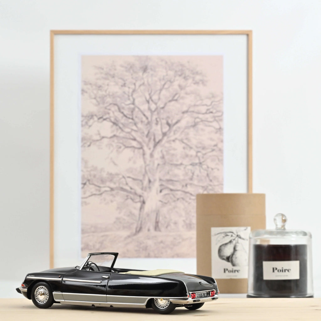 Citroën DS 21 Palm Beach 1968 Black 1:18
