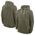 Men's Cleveland Browns Nike Forest Green 2025 Salute to Service Sideline Dri-FIT Lightweight Hooded Pullover