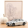 Mercedes-Benz S-Class AMG-Line 2021 Brillant Silver 1:18