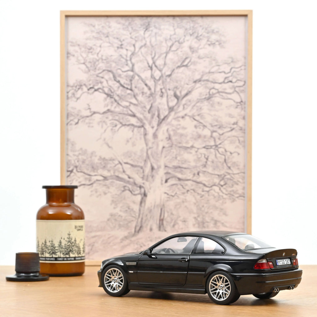 BMW M3 CSL 2003 Saphirschwarz 1:18