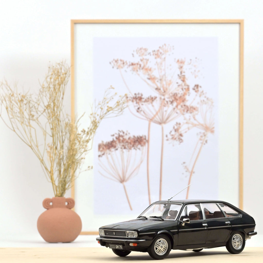 Renault 30 TX 1979 Black 1:18 - 200pcs