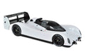 Peugeot 905 Blanc 1/18 - 100pcs