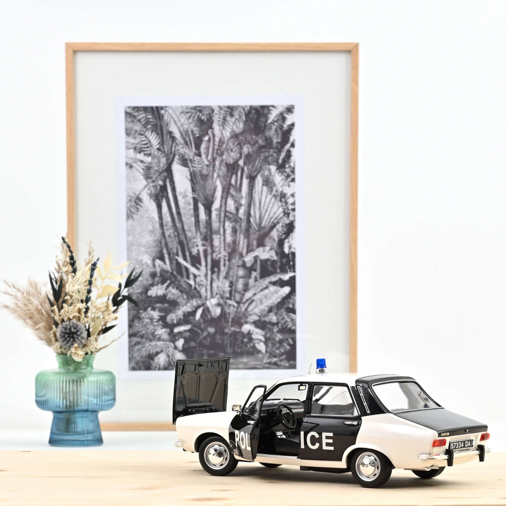 Renault 12 1973 Police 1:18 - 250 exemplaires
