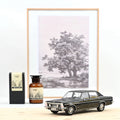 Opel Diplomat V8 1969 Noir 1:18