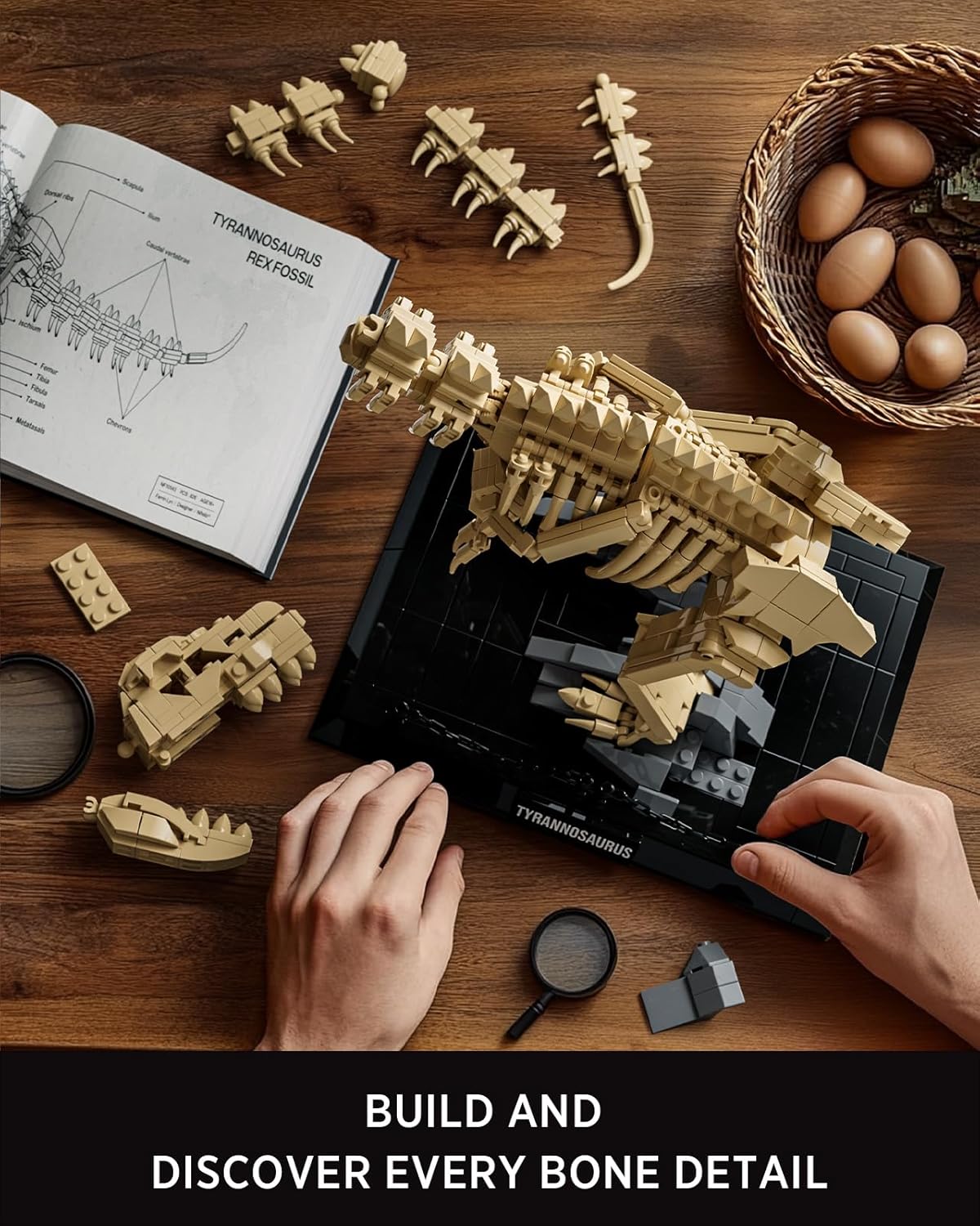 Nifeliz T. Rex Fossils (826 PCS, NF10343)