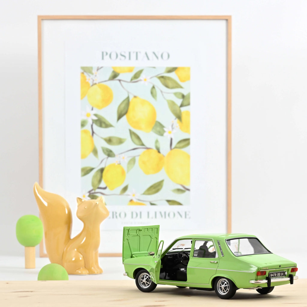 Renault 12 TS 1973 Light Green 1:18