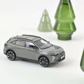 DS 7 2022 Lackiertes Grau 1:43