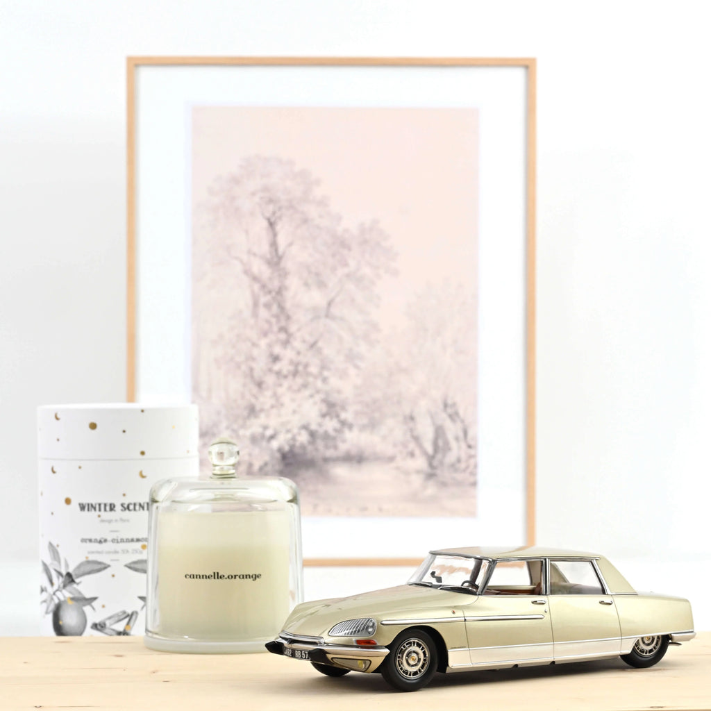 Citroën DS 21 Lorraine 1969 Champagne 1:18