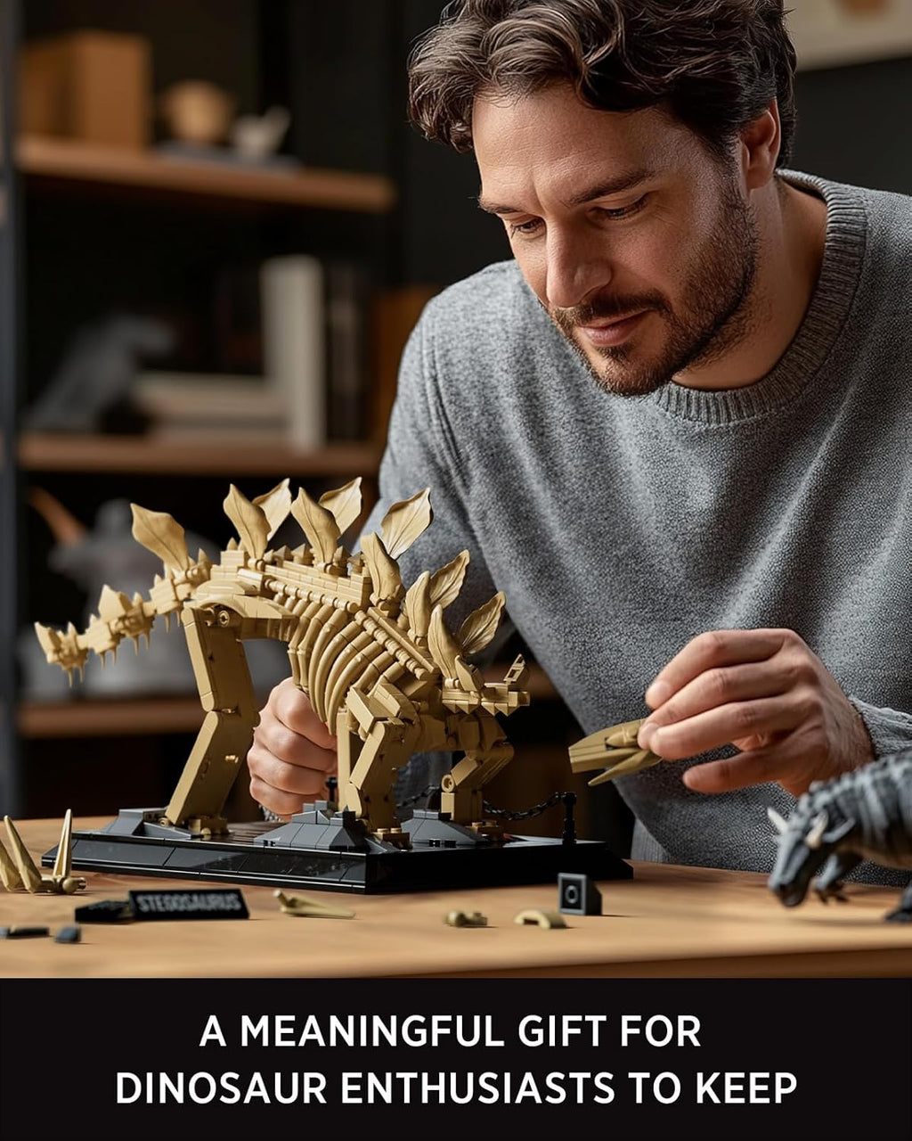 Nifeliz Stegosaurus Fossils (665 PCS, NF10353)