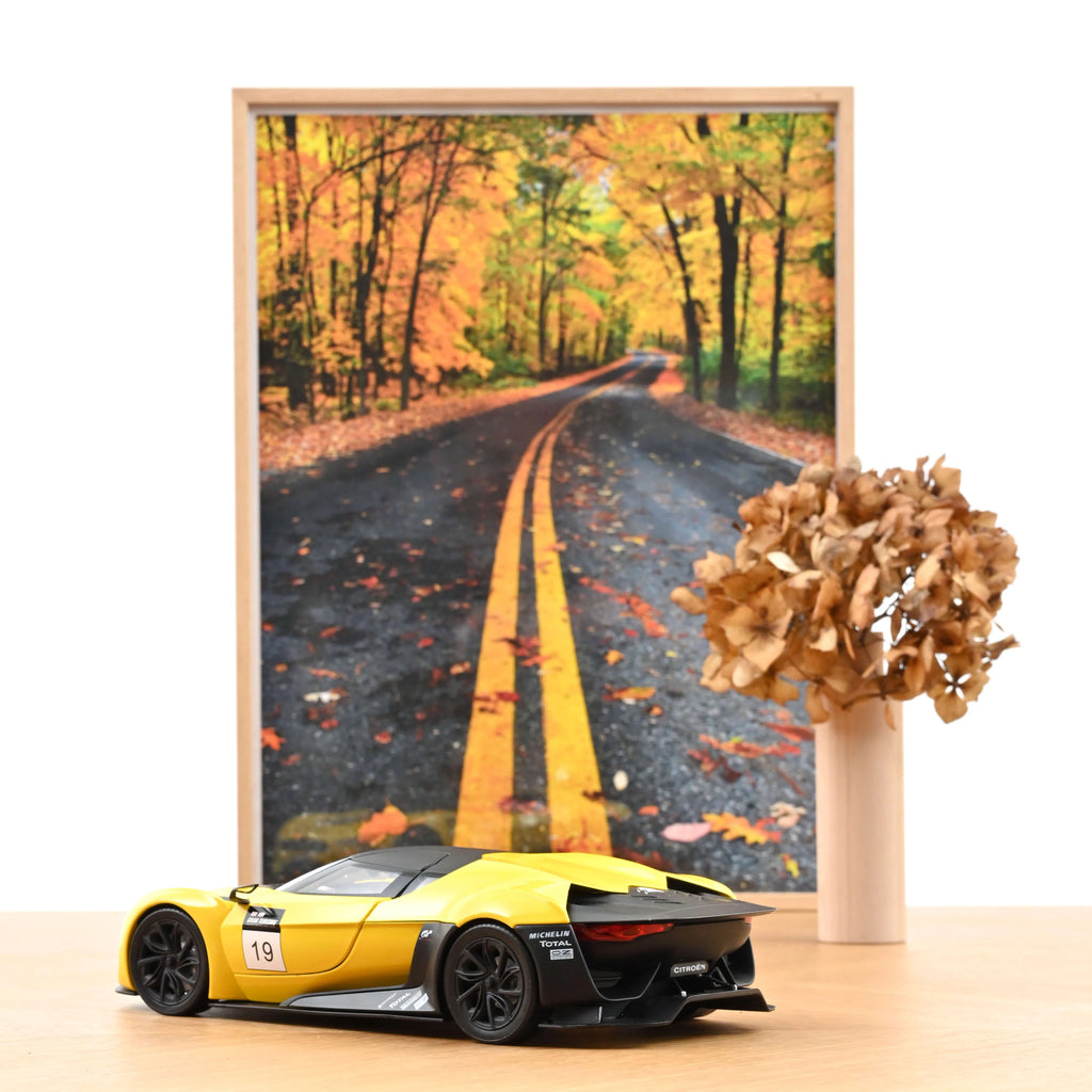GT by Citroën 2008 Yellow & Black Concept Car 1:18 - 200pcs
