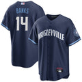 C.Cubs #14 Ernie Banks Player Navy City Connect Baseball Jerseys