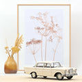 Mercedes-Benz 220 S 1965 Beige 1:18 - 200pcs